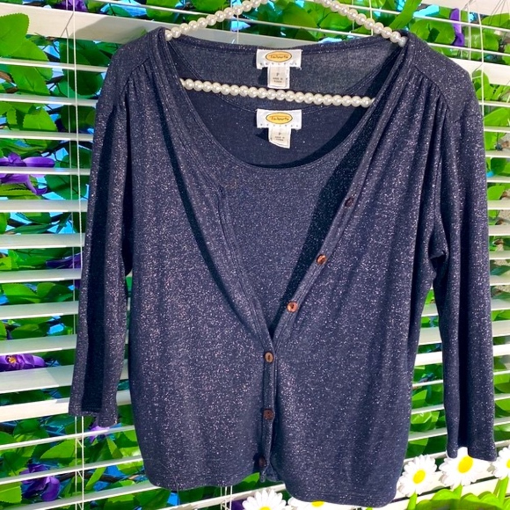 Talbots Twin Sweater Set With Sparkly Silver Meta… - image 2